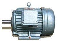 Motor điện 3 pha/Động cơ điện 3 pha- 1HP/2Poles-Chân Đế
